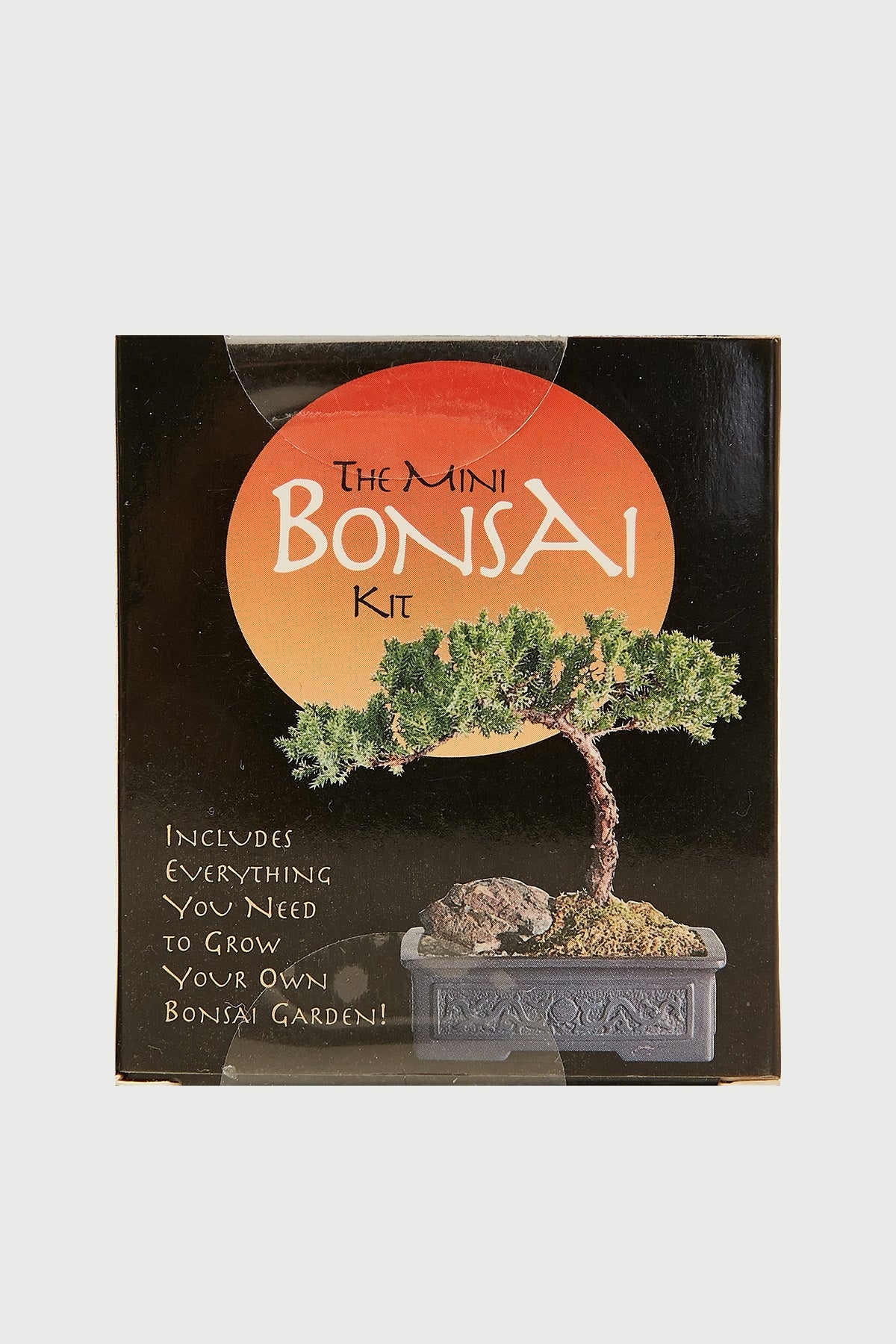 urban outfitters bonsai tree kit Mini Bonsai Kit – Universal Store