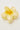 Token Frangipani Flower Hair Claw Yellow