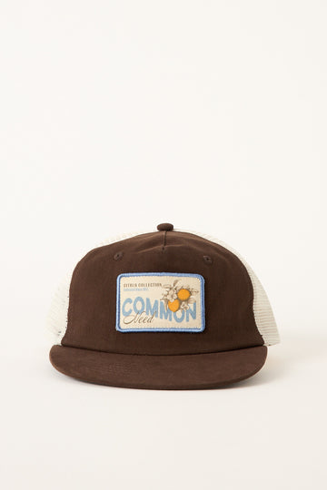 Common Need Burst Trucker Cap Brown