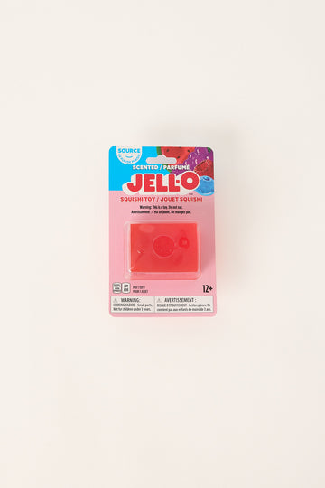 William Valentine Squishi Scented Jell-O Toy Assorted