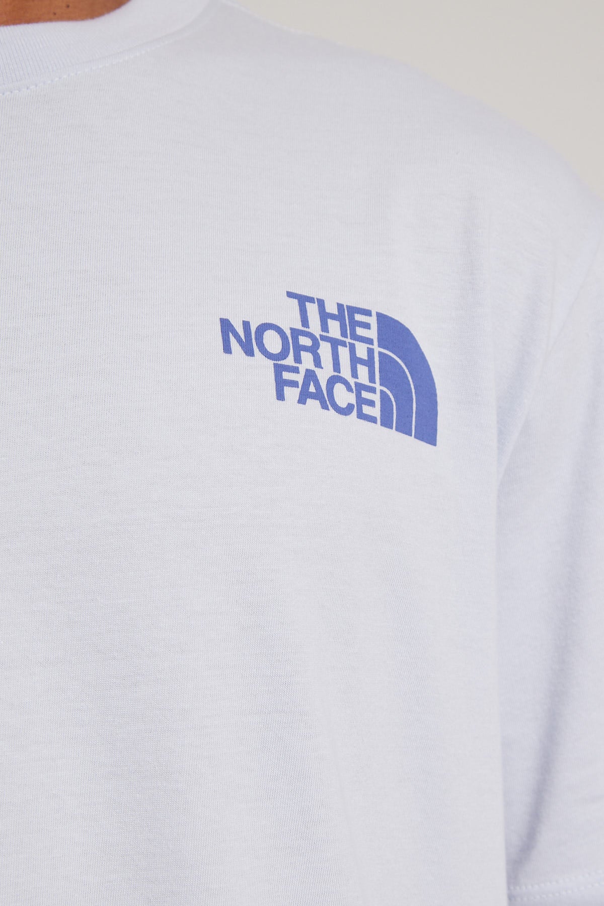 The North Face Men's S/S Places We Love Tee Dusty Periwinkle ...