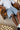 Worship Carpenter Jean Short Worship Worn Blue