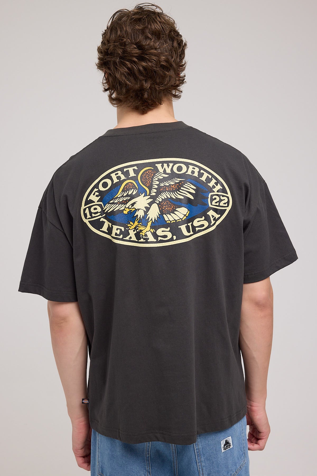 Dickies Eagle 330 Fit Tee Washed Graphite