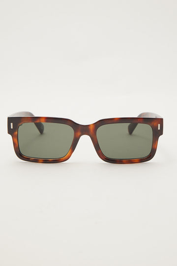 Aire Castor Tortoise