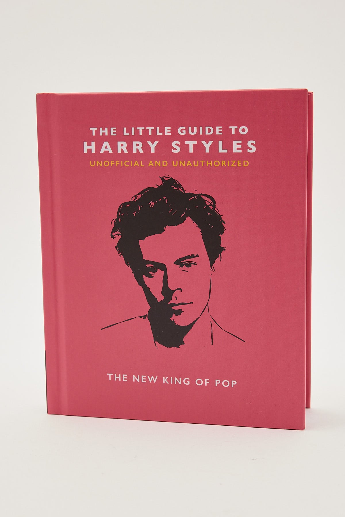 Little Guide to Harry Styles Book Multi