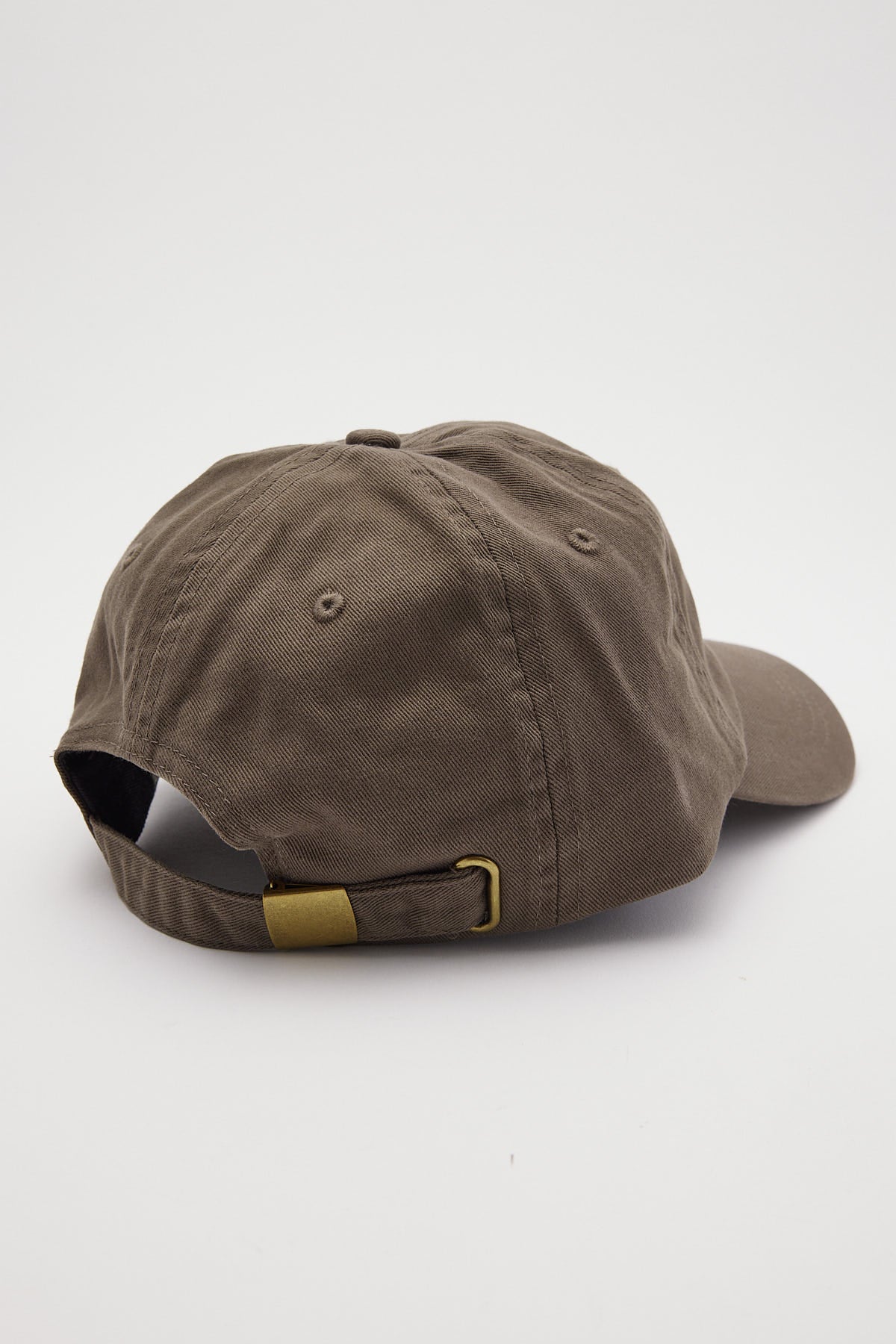 Common Need Symbiosis Dad Cap Taupe