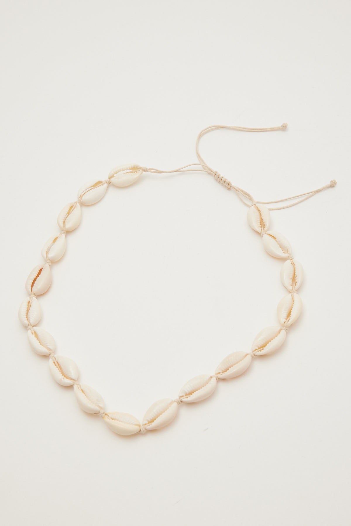 Common Need Shell Choker Necklace Natural