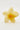 Token Frangipani Flower Hair Claw Yellow