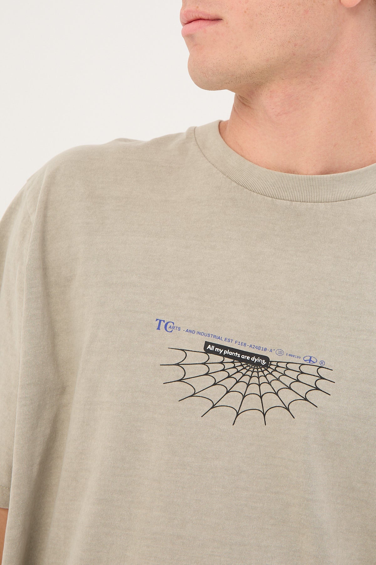 Thrills The Beginning Is Ending Merch Fit Tee Fog