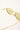 Reality Eyewear Promised Land Gold/Olive Lens