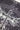 Neovision Fallen Cross Bandana Head Scarf Black