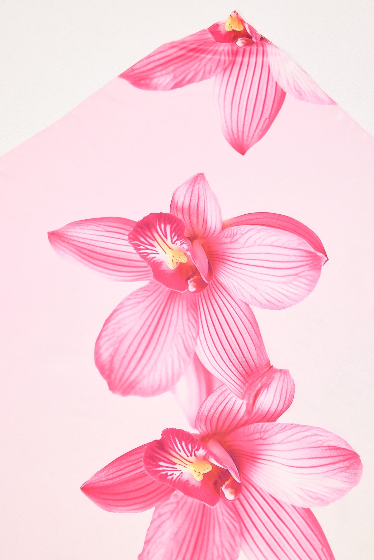 Luck & Trouble Calypso Scarf Pink