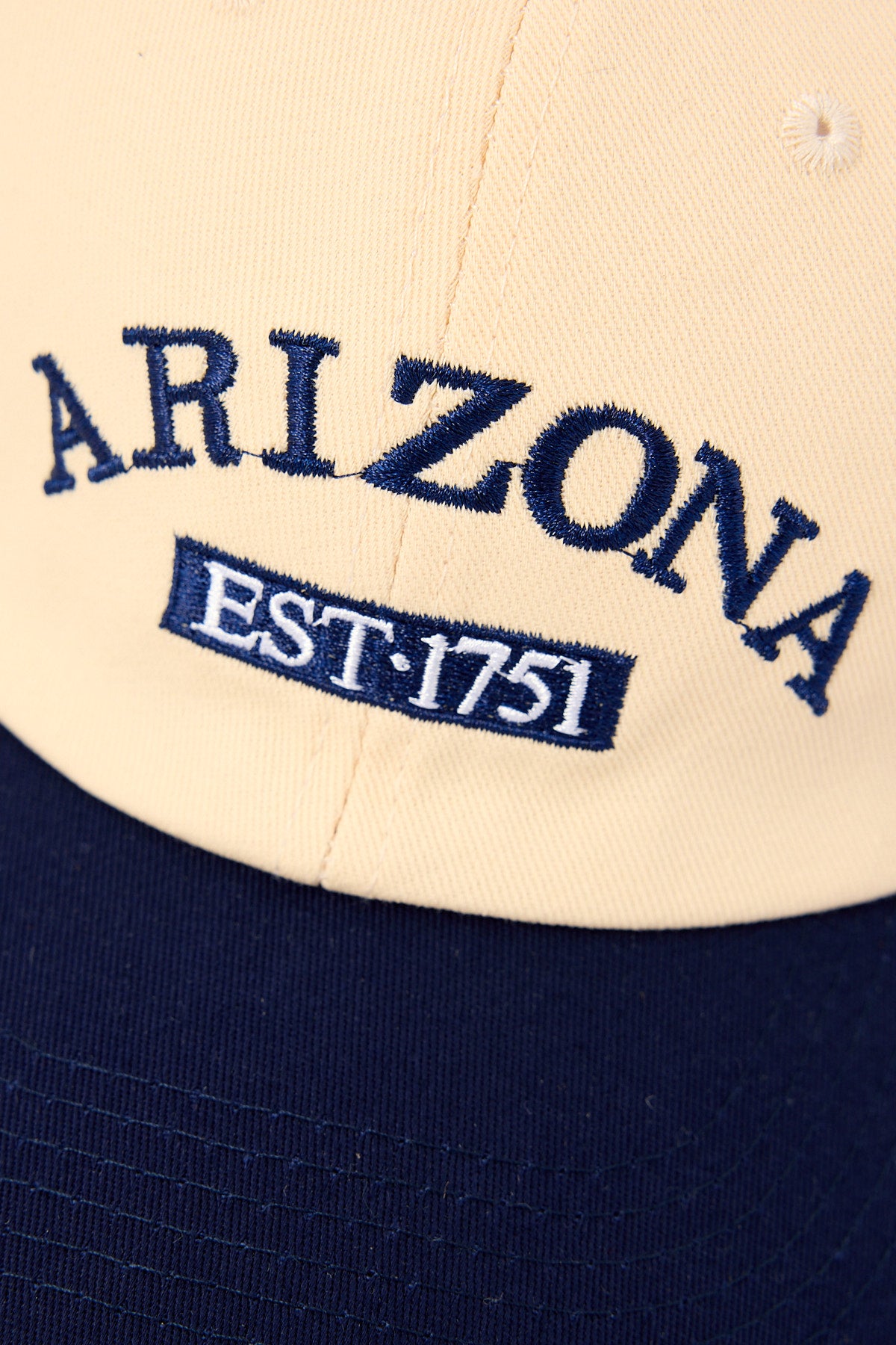 Token Arizona Two Tone Cap Navy