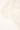 Token Lace Socket White