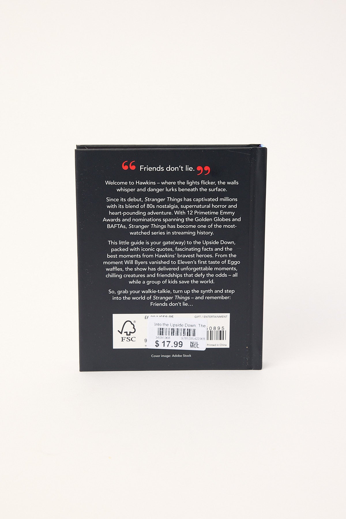 Into the Upside Down: The Little Guide to Stranger Thin Multi