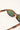 Reality Eyewear Ninety Fivers Turtle/Green Lens