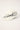 Neovision Cursive Distressed Dad Cap White