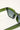 Reality Eyewear Onassis Moss Green