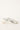 Reebok Freestyle Lo Sneaker White/Silver