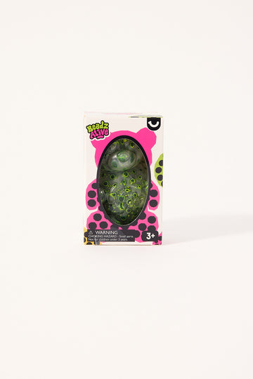 William Valentine Beadz Alive Bear Squishy Assorted